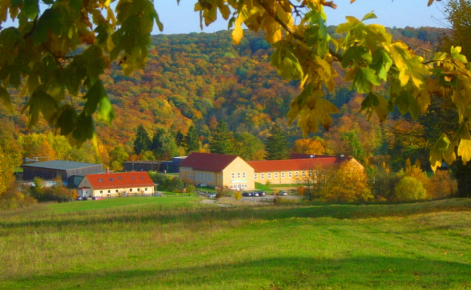 JH Lauterbach „Urwald-Life-Camp“